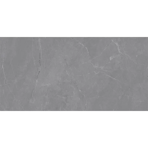 Amarone Grey pločice imitacija kamena 60x120
