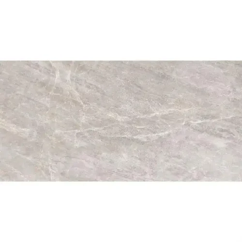 PG Salome Grey 60x120 pločice siva glossy