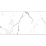 Neo Calacatta Silver 60x120 bela pločica