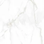 PG Calacatta Gold 100x100 bela pločica