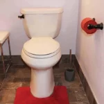 kupatilska WC četka dijamant crna