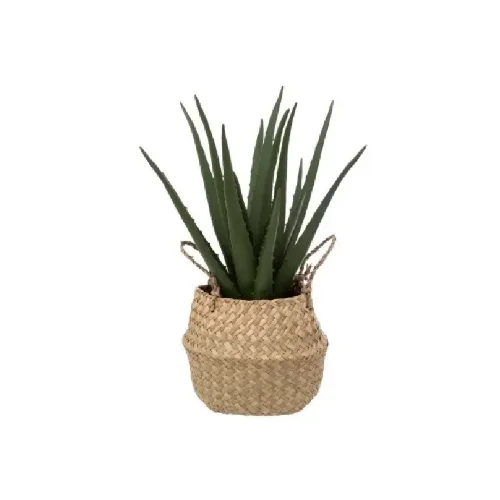Atmosphera aloe dekorativna biljka u pletenoj korpi