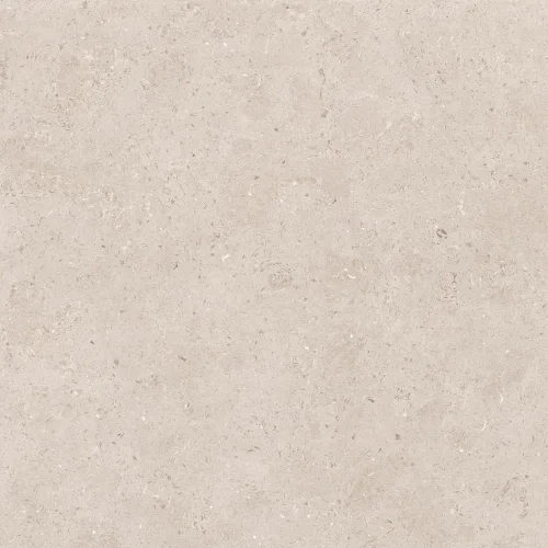 Limestone Taupe 60x60 R10