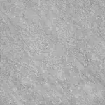 Forum Gray 60x60