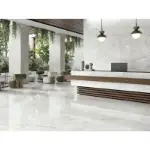 Porcelanska pločica sivi ton 60x120