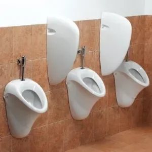 Pisoari