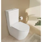 Vitra X5 RD monoblok